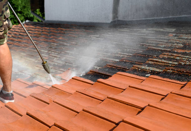 Best House Pressure Washing  in Kimball, TN